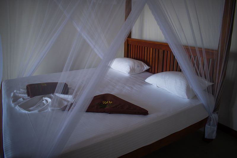 Accommodation
