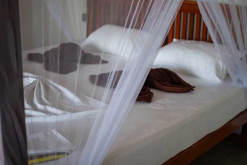 Accommodation