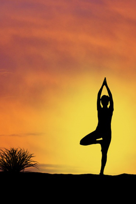 Yoga Camp - Green Rooms